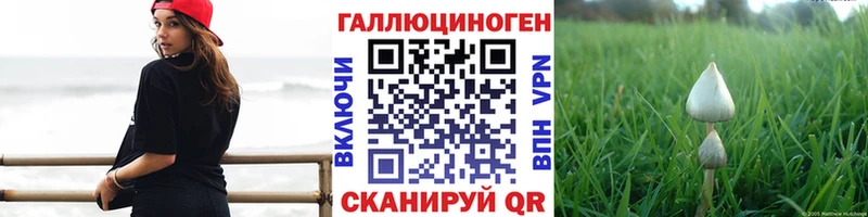 Купить где  Курчатов  Псилоцибиновые грибы Psilocybine cubensis 